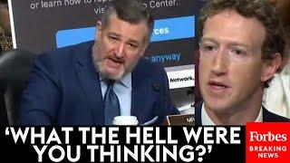 BREAKING NEWS: Ted Cruz Unleashes On Mark Zuckerberg In Senate Judiciary Hearing On Social Media