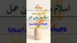 Islam Me Sabse Accha Amal|Hadees Paak|#hadeesstatus#ruhanimarkaz313 #shorts