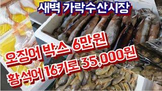 오징어 박스 6만원,  황석어 16키로 35,000원노 저렴