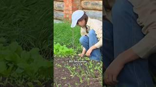 Их осталось 3000 человек! Гонимые Ордой и СССР #история #shorts #Бесермяне