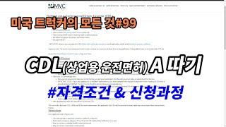 미국 트럭커의 모든 것#99 CDL(상업용 운전면허) A 따기 자격조건과 신청과정