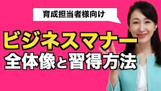 ビジネスマナー全体像と習得方法【育成担当者様 向け】