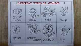 Different types of Flowers drawing easy| How to draw different types Flowers| Flower chart drawing