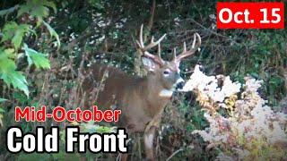 Big Buck Encounter - October Coldfront