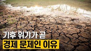 [핫클립] 기후 위기는 환경 문제만 야기할까 / YTN 사이언스