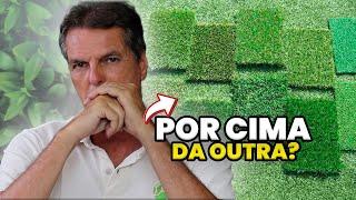 POSSO PLANTAR GRAMA ESMERALDA POR CIMA DA GRAMA BATATAIS?