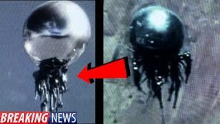 JUST IN! CLEAREST JELLY FISH UFO VIDEO EVER?! 2024