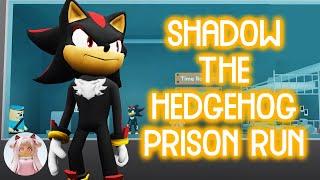 SHADOW THE HEDGEHOG PRISON RUN! (OBBY) | Roblox Obby Gameplay Walkthrough No Death [4K]