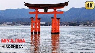 4K Miyajima Walk - Hiroshima Prefecture In Japan