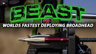 Beast Broadhead's First Look From Bowmar Archery