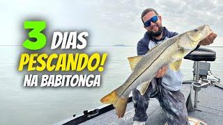 3 Dias PESCANDO em busca do TROFÉU !!! Pesca de ROBALOS com ISCAS ARTIFICIAIS!!!