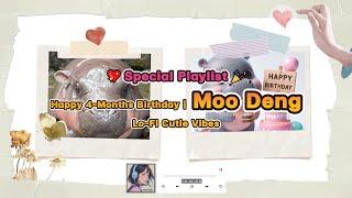  Special Playlist: Happy 4-Months Birthday | Moo Deng หมูเด้ง  by Ai DreamscapesTH