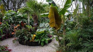 BEAUTIFUL UK TROPICAL GARDEN TOUR  #tropicalgarden #gardentour #garden #plants