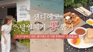 샌디에고 여행 역대급 하루만에 뽕뽑는 코스  | 볼거리 맛집 카페 총집합 | 라구나비치, 라호야코브, 올드타운, 로스리오스, 얼쓰카페, 필즈바베큐, 발보아파크, 미국주유하는법