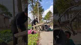 Crazy Father | Heart Touching Story #touchingclip #sad #sadstory #shorts
