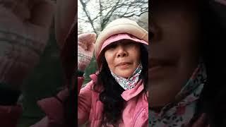 JUST SMILE AND WAVE(THROUGH A VERY COLD PARK) #shortvideo #yangmingshanpark #travel #viral