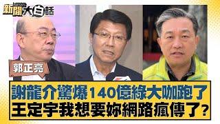 謝龍介驚爆140億綠大咖跑了 王定宇我想要妳網路瘋傳了？【新聞大白話】20241108-08｜郭正亮 謝龍介 陳揮文