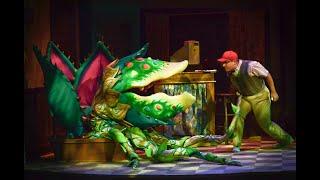 Somewhere That's Green (Reprise) - Tessa Faye & Brian Michael Hoffman (Little Shop of Horrors)