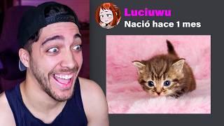 mascotas de mis subs 2