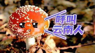 吃完致幻蘑菇當場學會一門語言？菌子竟是人類祖先！神奇的真菌＆魔力蘑菇 | 小俠說電影