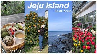 4 days in Jeju Island vlog | what I ate (cafe & local food), Osulloc tea museum, hiking Hallasan 