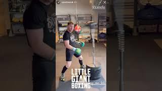 CANELO BEATING UP THE COBRA BAG TRAINING FOR JAIME MUNGUIA - TARGET PRACTICE!