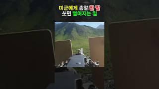 미군에게 쏜 총알 한 발, 그 대가는... #밀리터리 #군대 #군인 #미군 #저격 #무기 #전투기