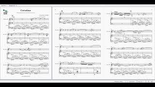 CAVATINA from "The Deer Hunter" by Stanley Myers - arrangement for Trumpet and Piano (PDF SCORES)