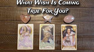  What Wish Is Coming True For You?  Pick A Card Reading