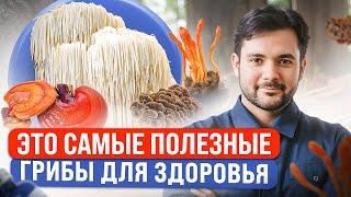 Эти Грибы Заменят Вам Аптеки и Врачей! Как Грибы Помогают Нашему организму?