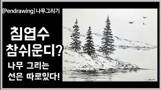 [펜드로잉]펜으로 나무 그리는 쉬운 방법/꿀팁대방출/Drawing conifers