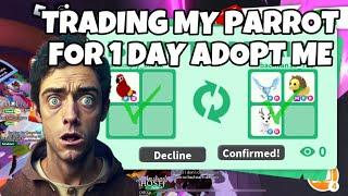 Trading my Adopt Me Parrot for One afternoon (20+ offers)