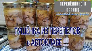 ТУШЕНКА ИЗ ПЕРЕПЕЛОВ