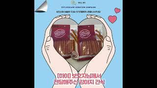 하이보호자님이 창원강아지장례 후 기부해주신 기부물품 #쇼츠 #창원강아지장례 #펫로스케어