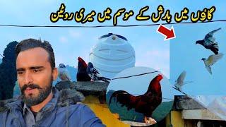 Gaon Ki Barish Or Mari Routine | Village Life By MB Vlogs