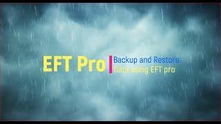 How to make Data Backup and Restore it via EFT Pro