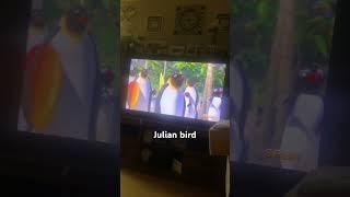 Julian bird funny