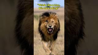 Why King Lion is Best #ytshorts #shorts #shortfeed #viralshort #animals #lion #untamedHistory