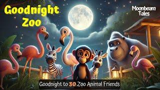 Let's Say Goodnight to 30 Zoo Animals  THE IDEAL Soothing Bedtime Stories for Babies and Toddlers