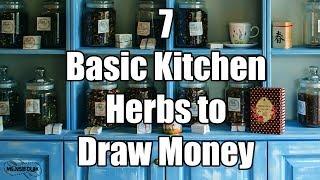 7 Basic Kitchen Herbs to Draw Money