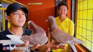 MAIN KE KANDANG TJAN BILLY