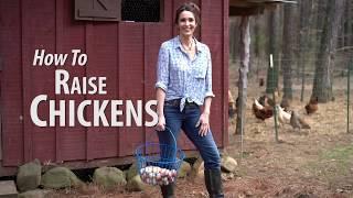 Sponsored | How to Raise Chickens with Stacy Lyn Harris