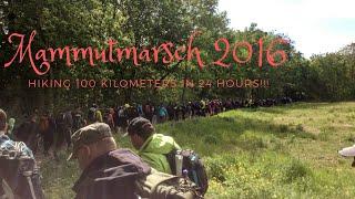 Mammutmarsch 2016 - Hiking 100 kilometers in 24 hours!