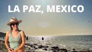 Why I LOVE La Paz, Mexico