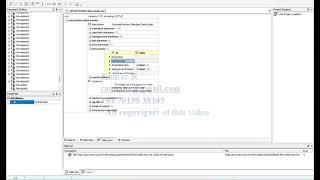 H22022   Manage Business Configuration, Off-cycle, Apprentice Mgt SuccessFactors Employee Central