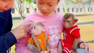 PiPi the monkey is visited by children in a strange house