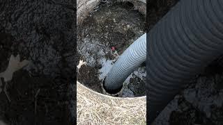 Emptying RV Sewer into Septic Tank