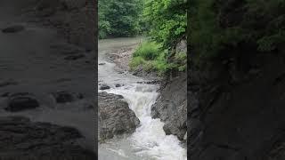 Carpathian river in Sheshory