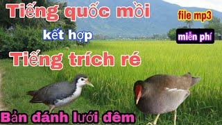 Tiếng trích kết hợp tiếng quốc (bản đánh đêm)