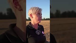 Как выбрать бункер-перегрузчик для трехзвенной уборки